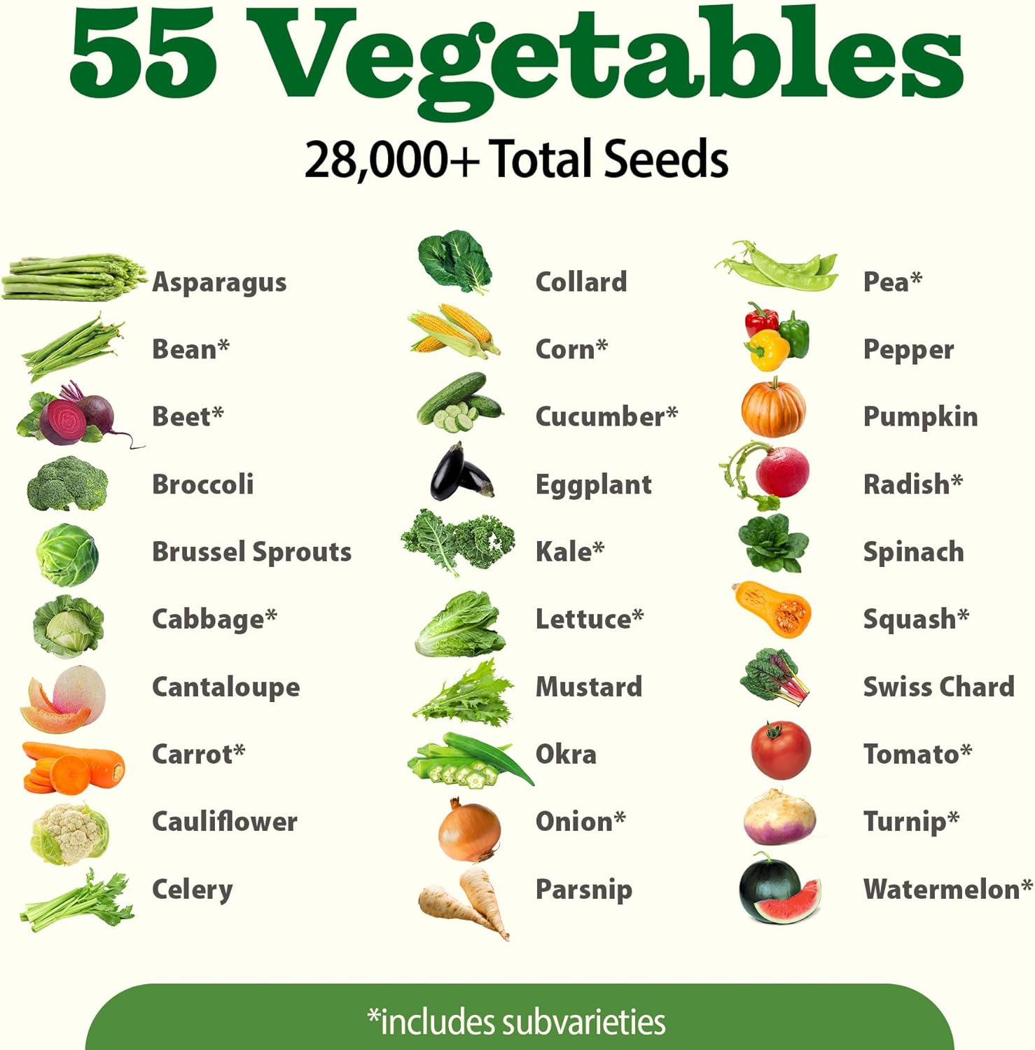 HOME GROWN Arugula Seed 2 Pack – 4350 Vegetable Seeds – Non GMO Ideal Seeds for Hydroponic Garden Indoor – Premium and Heirloom Arugula Seeds for Planting (Eruca vesicaria)