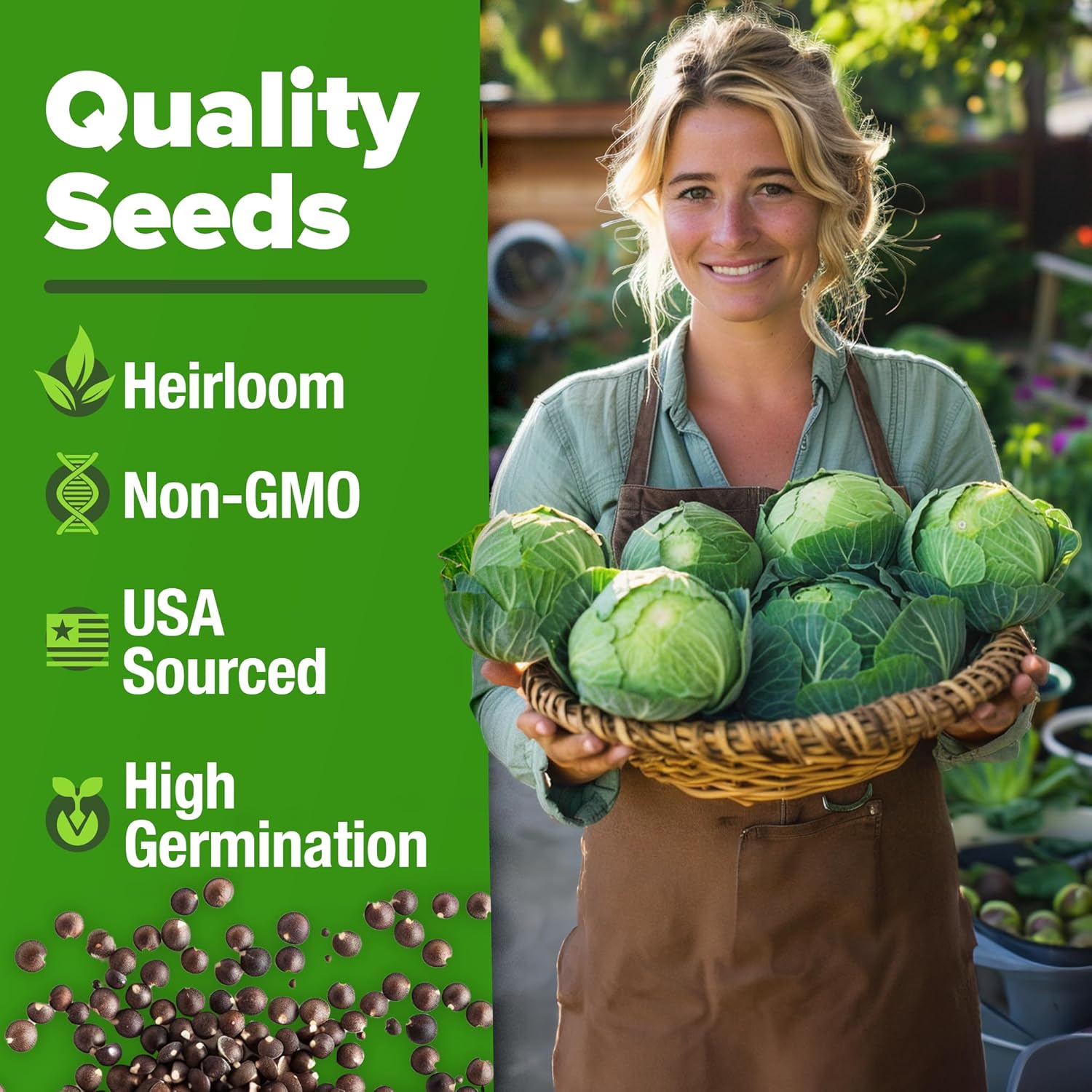 HOME GROWN Arugula Seed 2 Pack – 4350 Vegetable Seeds – Non GMO Ideal Seeds for Hydroponic Garden Indoor – Premium and Heirloom Arugula Seeds for Planting (Eruca vesicaria)