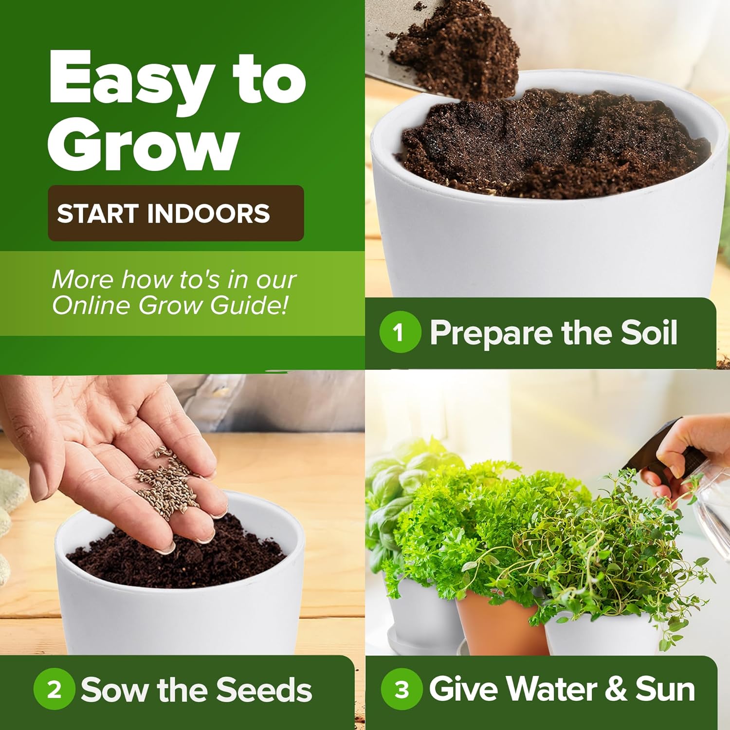 HOME GROWN Arugula Seed 2 Pack – 4350 Vegetable Seeds – Non GMO Ideal Seeds for Hydroponic Garden Indoor – Premium and Heirloom Arugula Seeds for Planting (Eruca vesicaria)