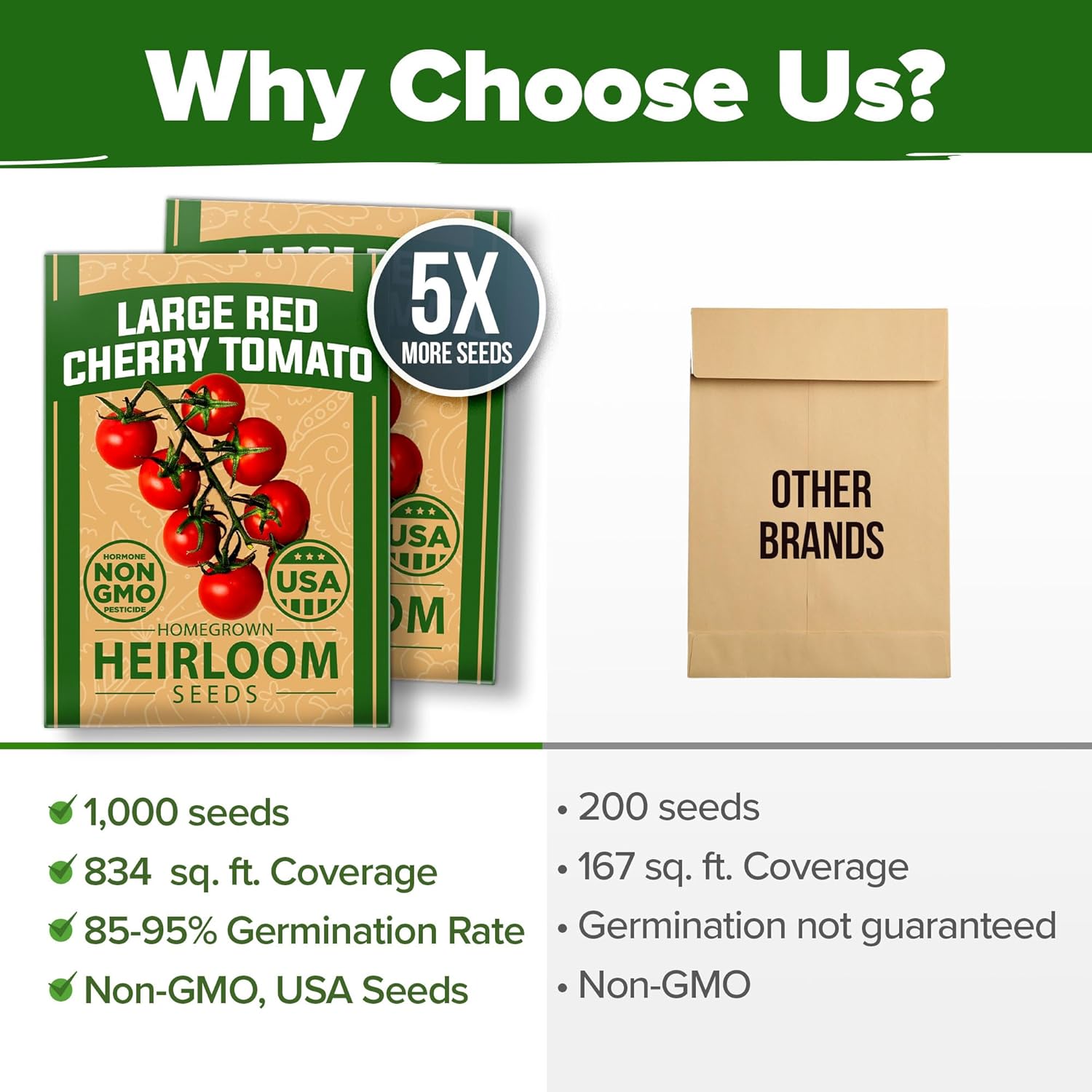 HOME GROWN Arugula Seed 2 Pack – 4350 Vegetable Seeds – Non GMO Ideal Seeds for Hydroponic Garden Indoor – Premium and Heirloom Arugula Seeds for Planting (Eruca vesicaria)