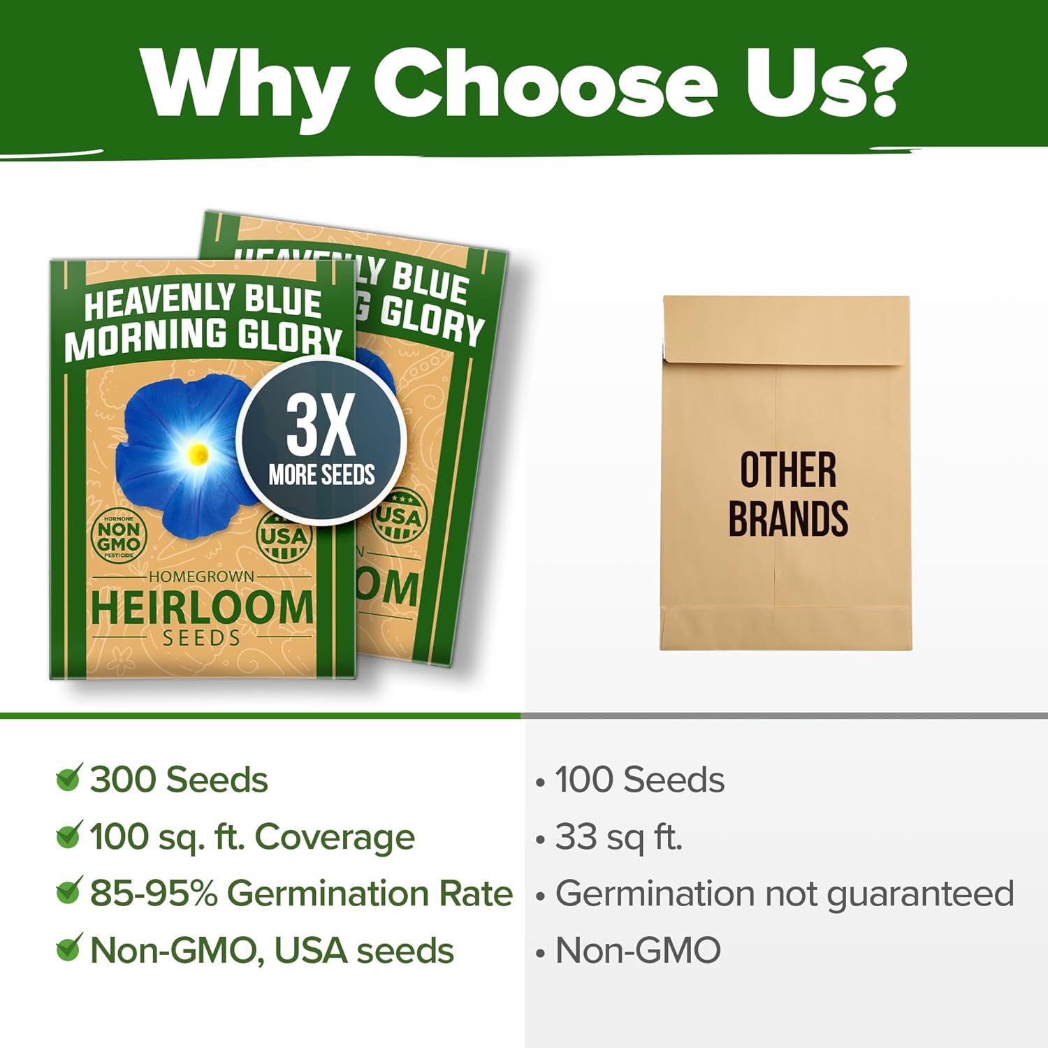 HOME GROWN Arugula Seed 2 Pack – 4350 Vegetable Seeds – Non GMO Ideal Seeds for Hydroponic Garden Indoor – Premium and Heirloom Arugula Seeds for Planting (Eruca vesicaria)