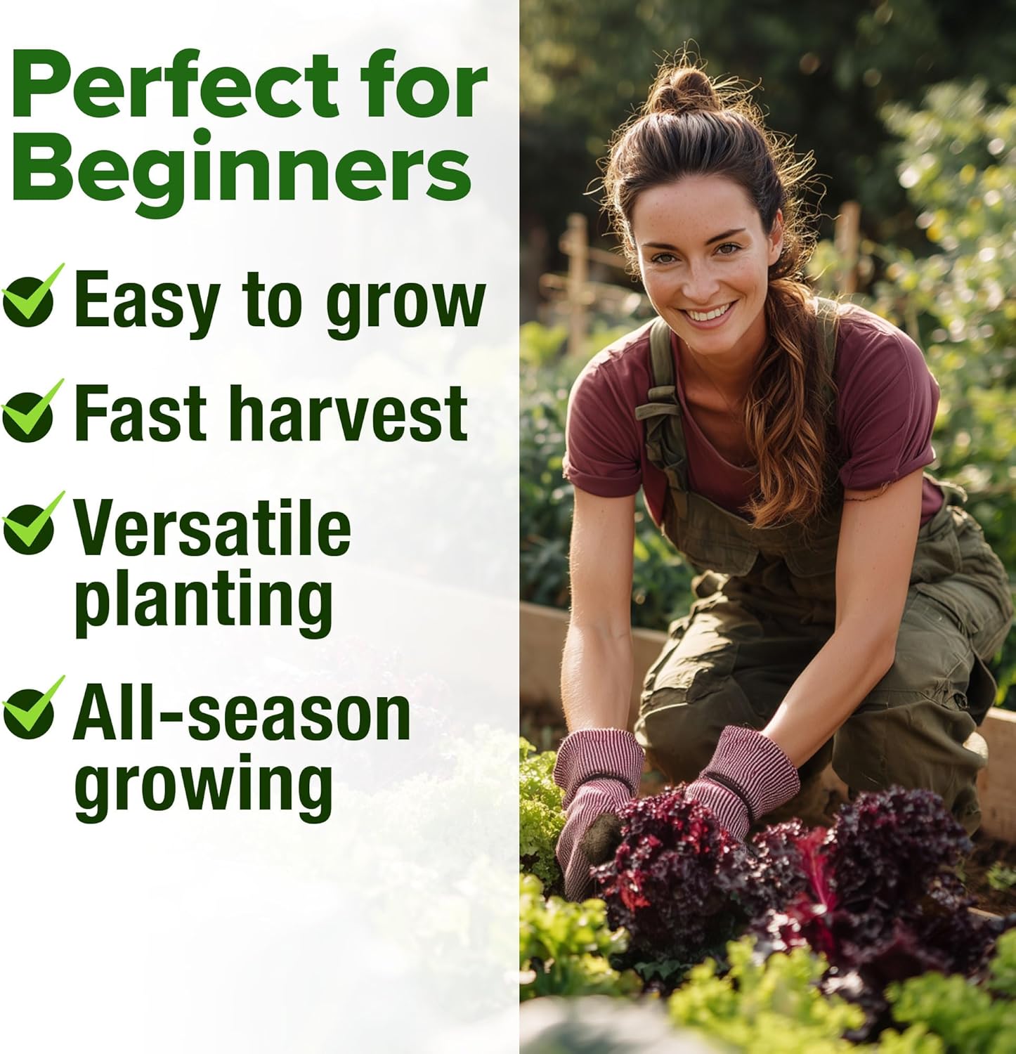 HOME GROWN Arugula Seed 2 Pack – 4350 Vegetable Seeds – Non GMO Ideal Seeds for Hydroponic Garden Indoor – Premium and Heirloom Arugula Seeds for Planting (Eruca vesicaria)