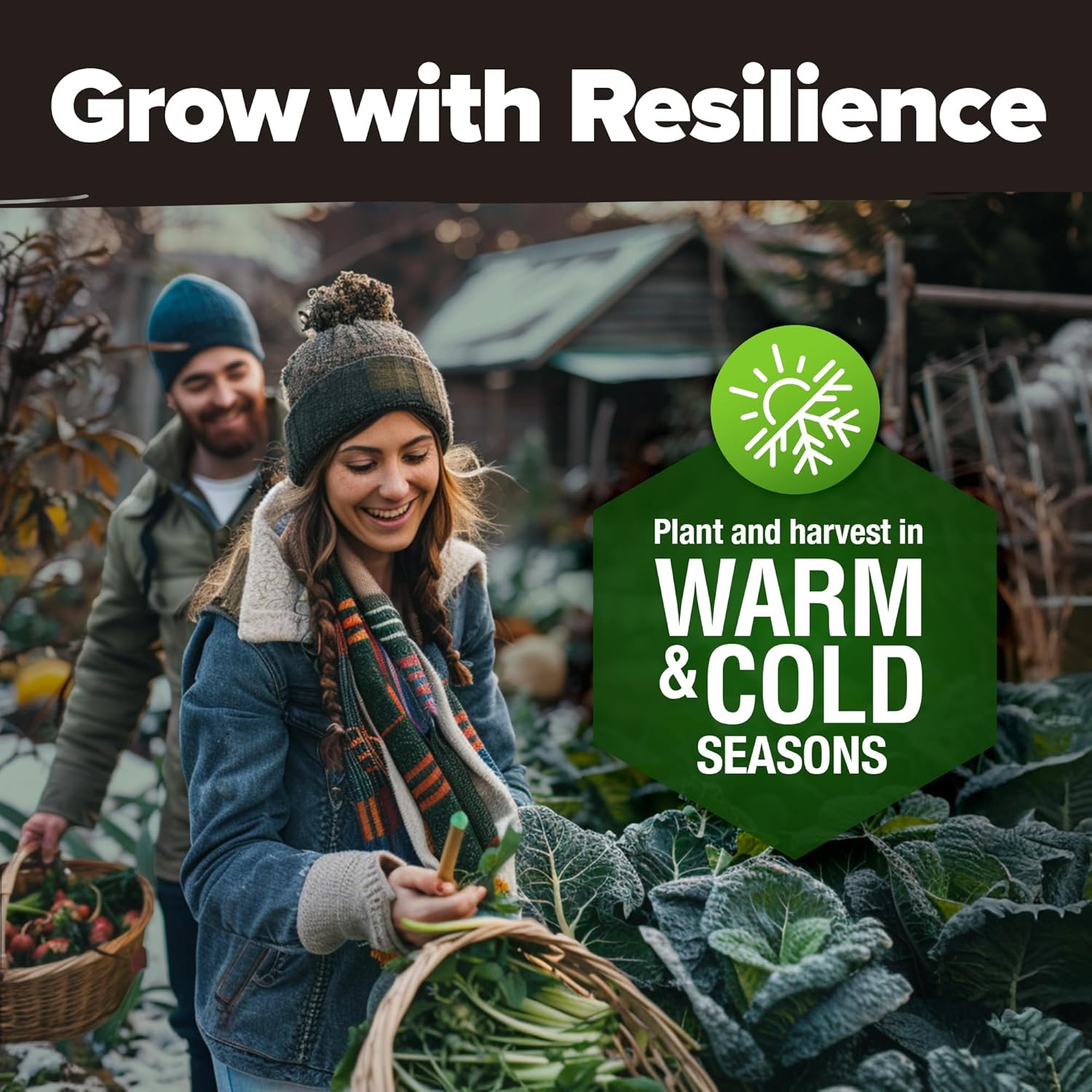 HOME GROWN Arugula Seed 2 Pack – 4350 Vegetable Seeds – Non GMO Ideal Seeds for Hydroponic Garden Indoor – Premium and Heirloom Arugula Seeds for Planting (Eruca vesicaria)