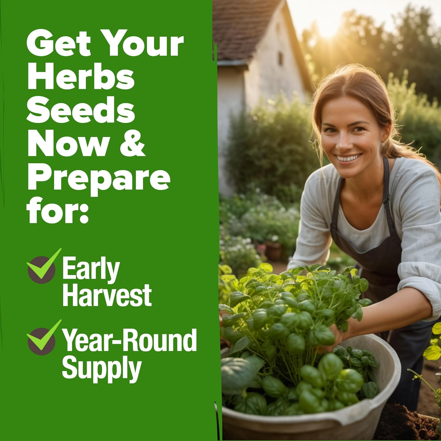 HOME GROWN Arugula Seed 2 Pack – 4350 Vegetable Seeds – Non GMO Ideal Seeds for Hydroponic Garden Indoor – Premium and Heirloom Arugula Seeds for Planting (Eruca vesicaria)