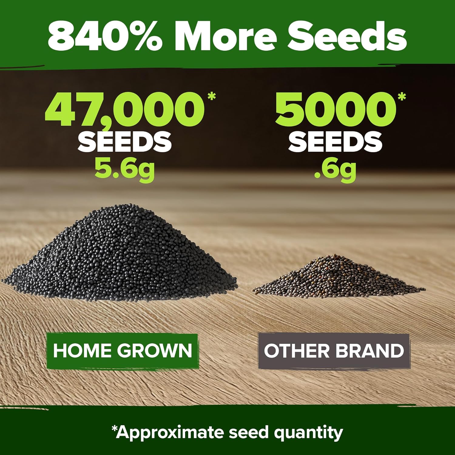 HOME GROWN Arugula Seed 2 Pack – 4350 Vegetable Seeds – Non GMO Ideal Seeds for Hydroponic Garden Indoor – Premium and Heirloom Arugula Seeds for Planting (Eruca vesicaria)