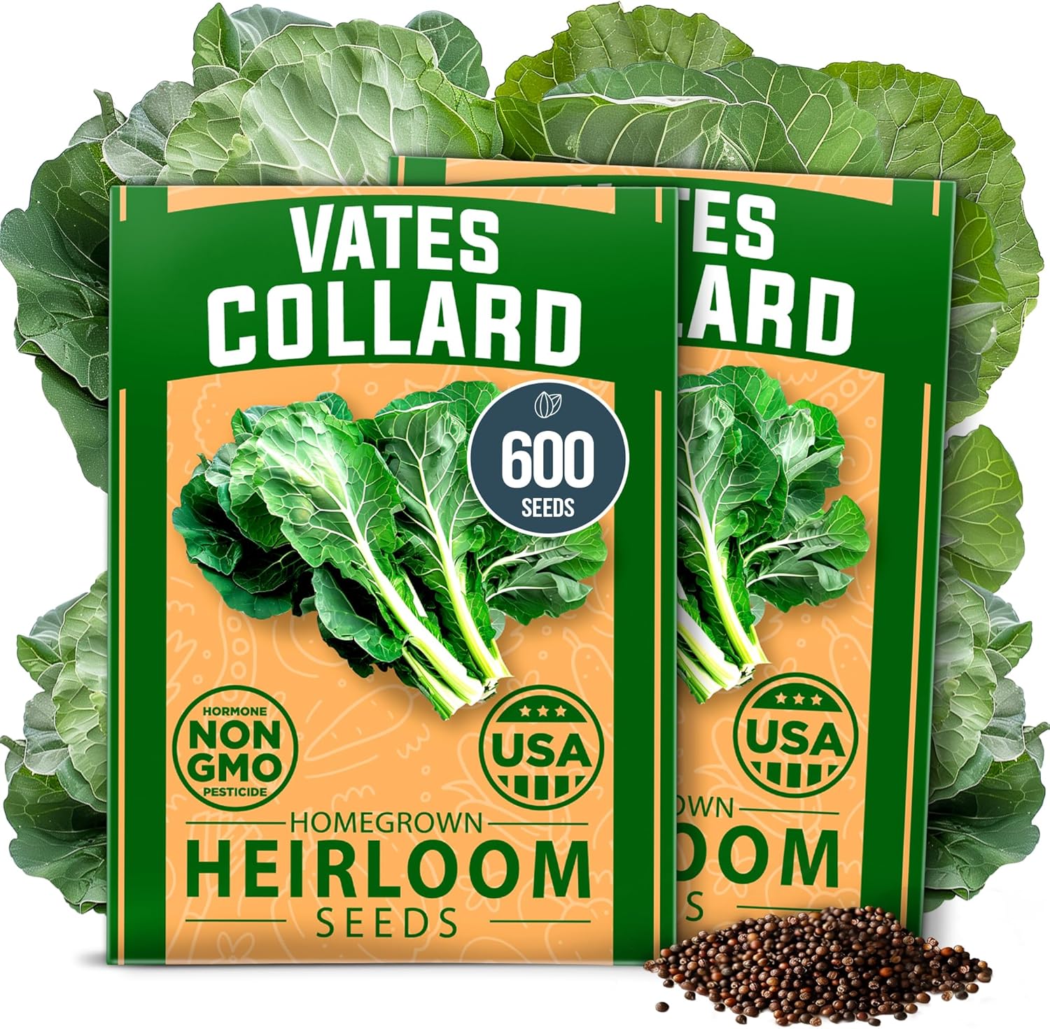 HOME GROWN Arugula Seed 2 Pack – 4350 Vegetable Seeds – Non GMO Ideal Seeds for Hydroponic Garden Indoor – Premium and Heirloom Arugula Seeds for Planting (Eruca vesicaria)