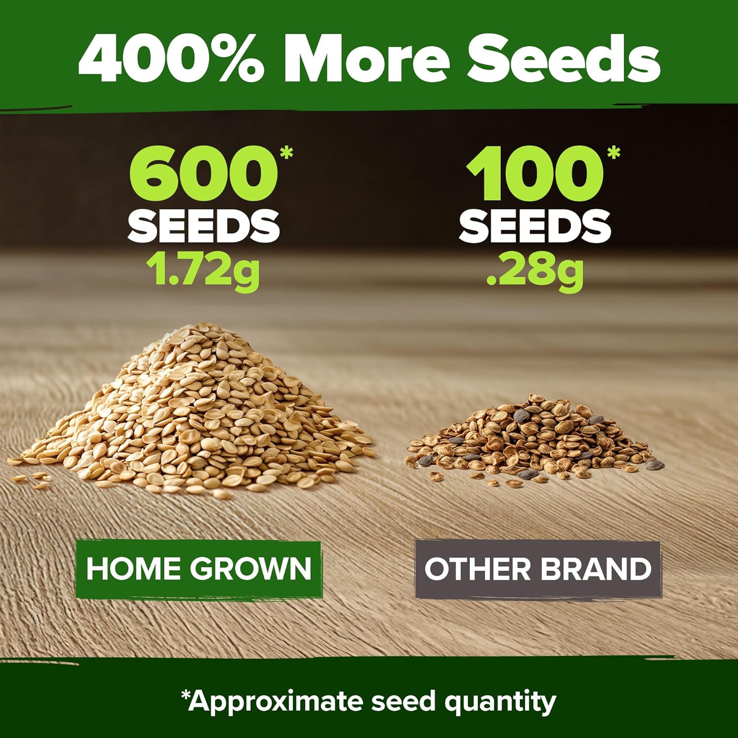 HOME GROWN Arugula Seed 2 Pack – 4350 Vegetable Seeds – Non GMO Ideal Seeds for Hydroponic Garden Indoor – Premium and Heirloom Arugula Seeds for Planting (Eruca vesicaria)