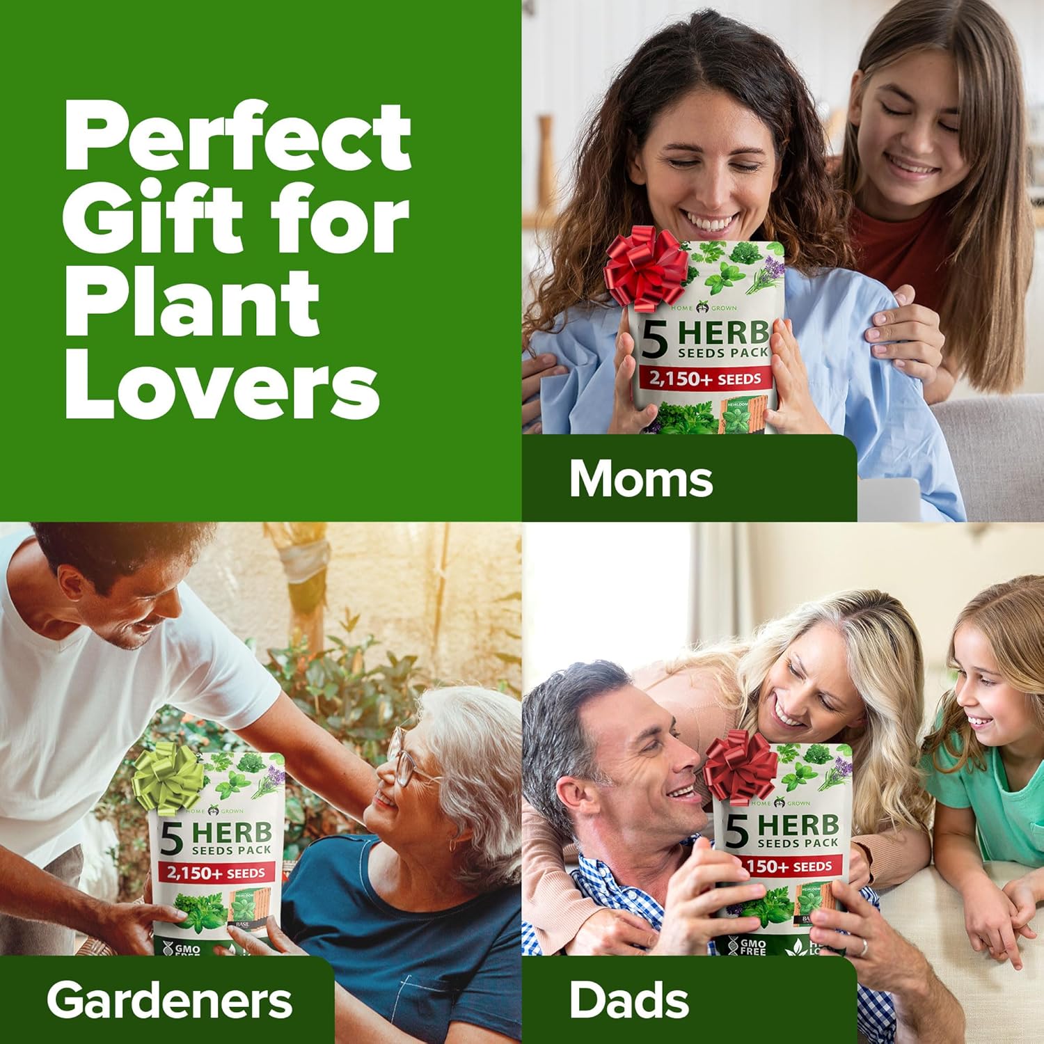 HOME GROWN Arugula Seed 2 Pack – 4350 Vegetable Seeds – Non GMO Ideal Seeds for Hydroponic Garden Indoor – Premium and Heirloom Arugula Seeds for Planting (Eruca vesicaria)