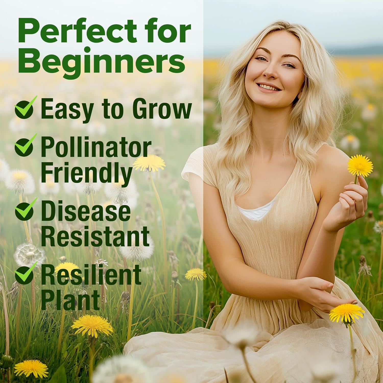 HOME GROWN Arugula Seed 2 Pack – 4350 Vegetable Seeds – Non GMO Ideal Seeds for Hydroponic Garden Indoor – Premium and Heirloom Arugula Seeds for Planting (Eruca vesicaria)