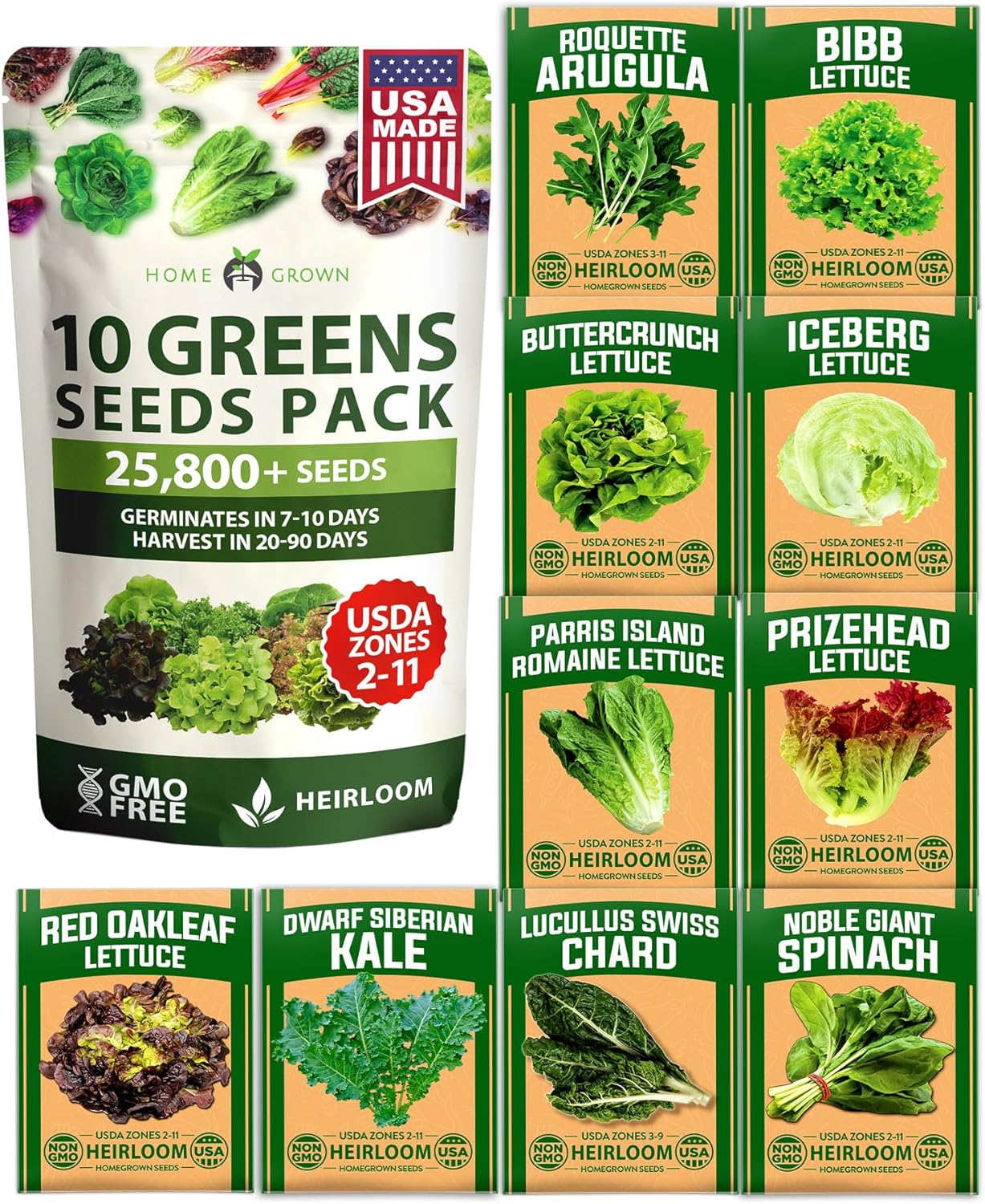 HOME GROWN Arugula Seed 2 Pack – 4350 Vegetable Seeds – Non GMO Ideal Seeds for Hydroponic Garden Indoor – Premium and Heirloom Arugula Seeds for Planting (Eruca vesicaria)