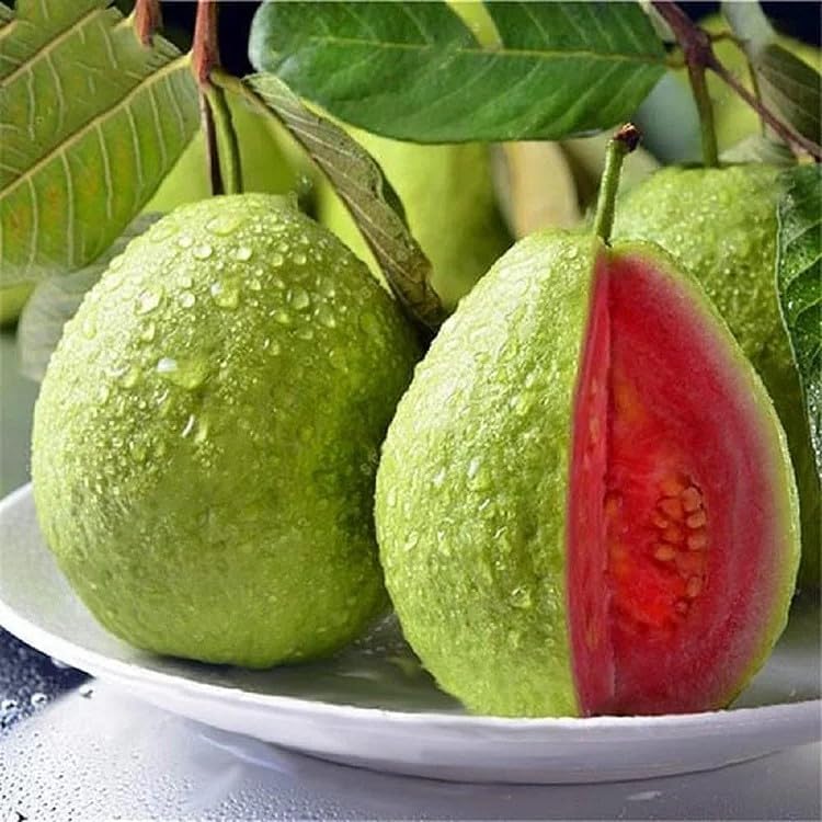 NiRwa 50pcs Tropical Strawberry Guava Organic Pink Guava Seeds - Exotic Flavor Medley and Privacy in Your Garden