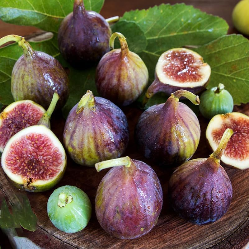 320Pcs Mix Fig Seeds for Planting-Non-GMO Heirloom Plant Seeds Garden Outdoor-Sweet and Juicy