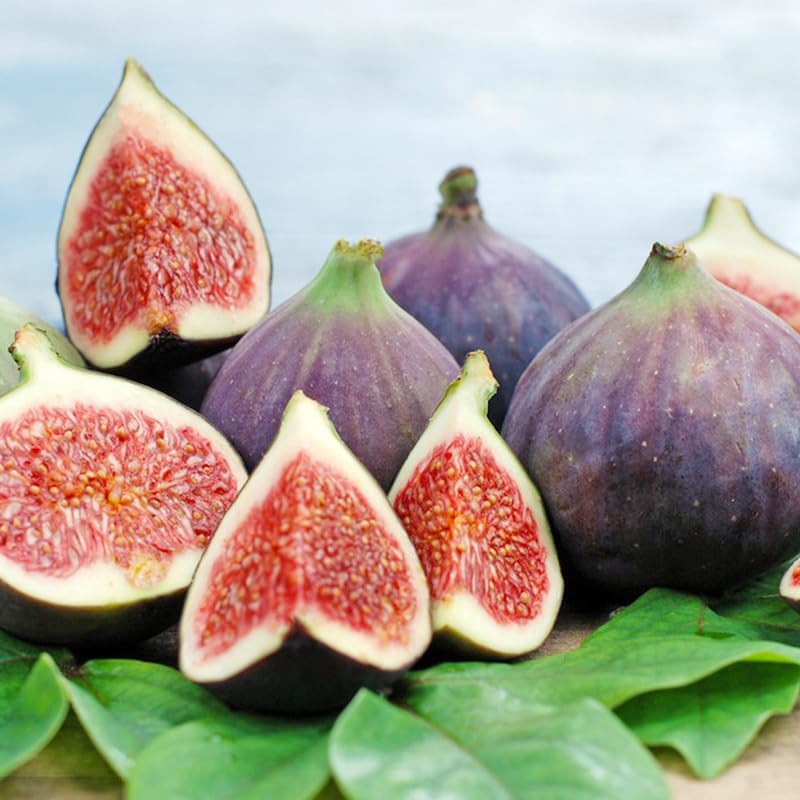 320Pcs Mix Fig Seeds for Planting-Non-GMO Heirloom Plant Seeds Garden Outdoor-Sweet and Juicy