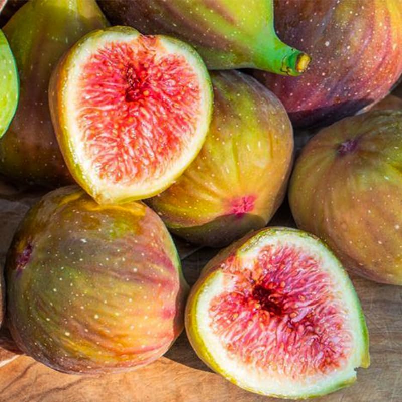 320Pcs Mix Fig Seeds for Planting-Non-GMO Heirloom Plant Seeds Garden Outdoor-Sweet and Juicy