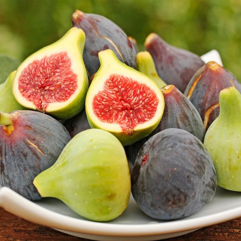 320Pcs Mix Fig Seeds for Planting-Non-GMO Heirloom Plant Seeds Garden Outdoor-Sweet and Juicy