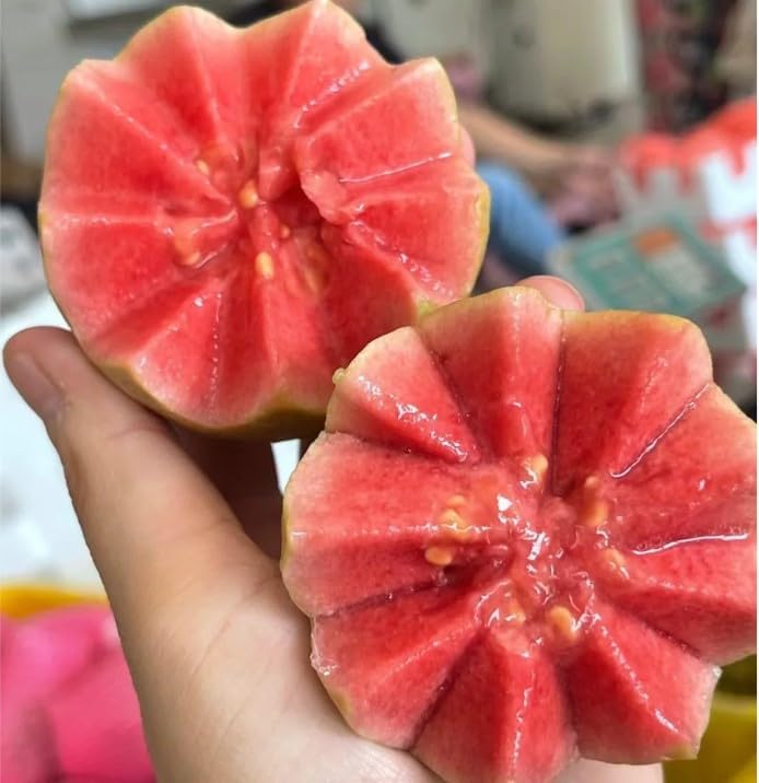 NiRwa 50pcs Tropical Strawberry Guava Organic Pink Guava Seeds - Exotic Flavor Medley and Privacy in Your Garden