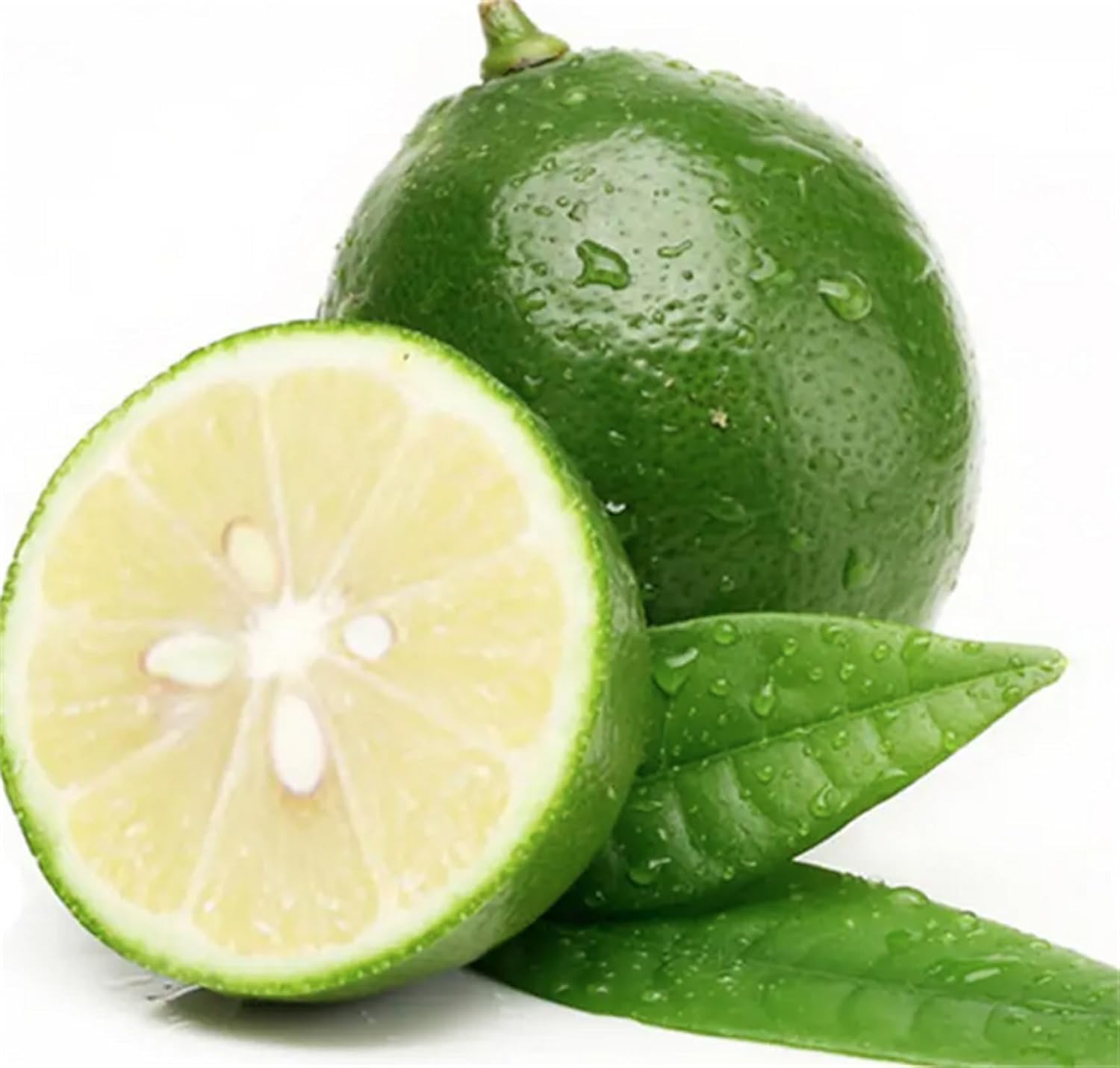 Garden Plant Seeds Fruit Tree Seeds Kaffir Lime 20+ Fresh Lemon Seeds Citrus Hystrix Makrut Lime Thai Lime Herb Seeds