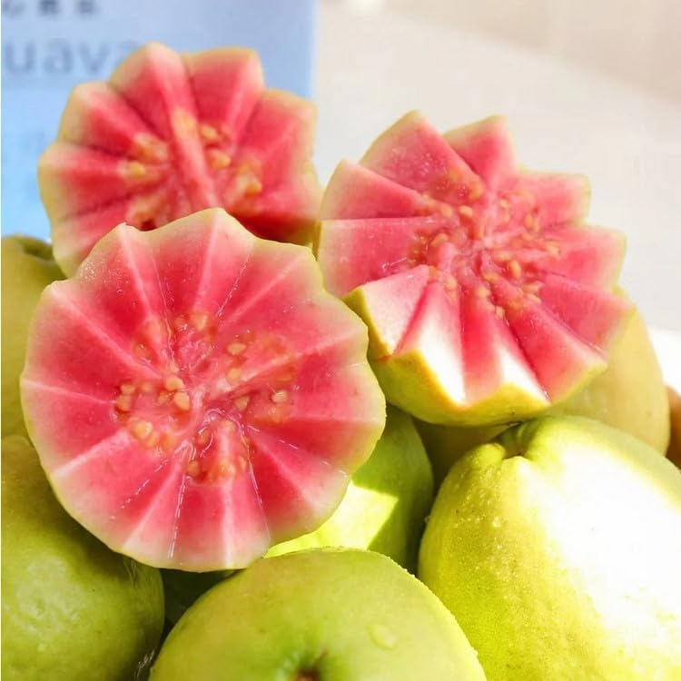 NiRwa 50pcs Tropical Strawberry Guava Organic Pink Guava Seeds - Exotic Flavor Medley and Privacy in Your Garden