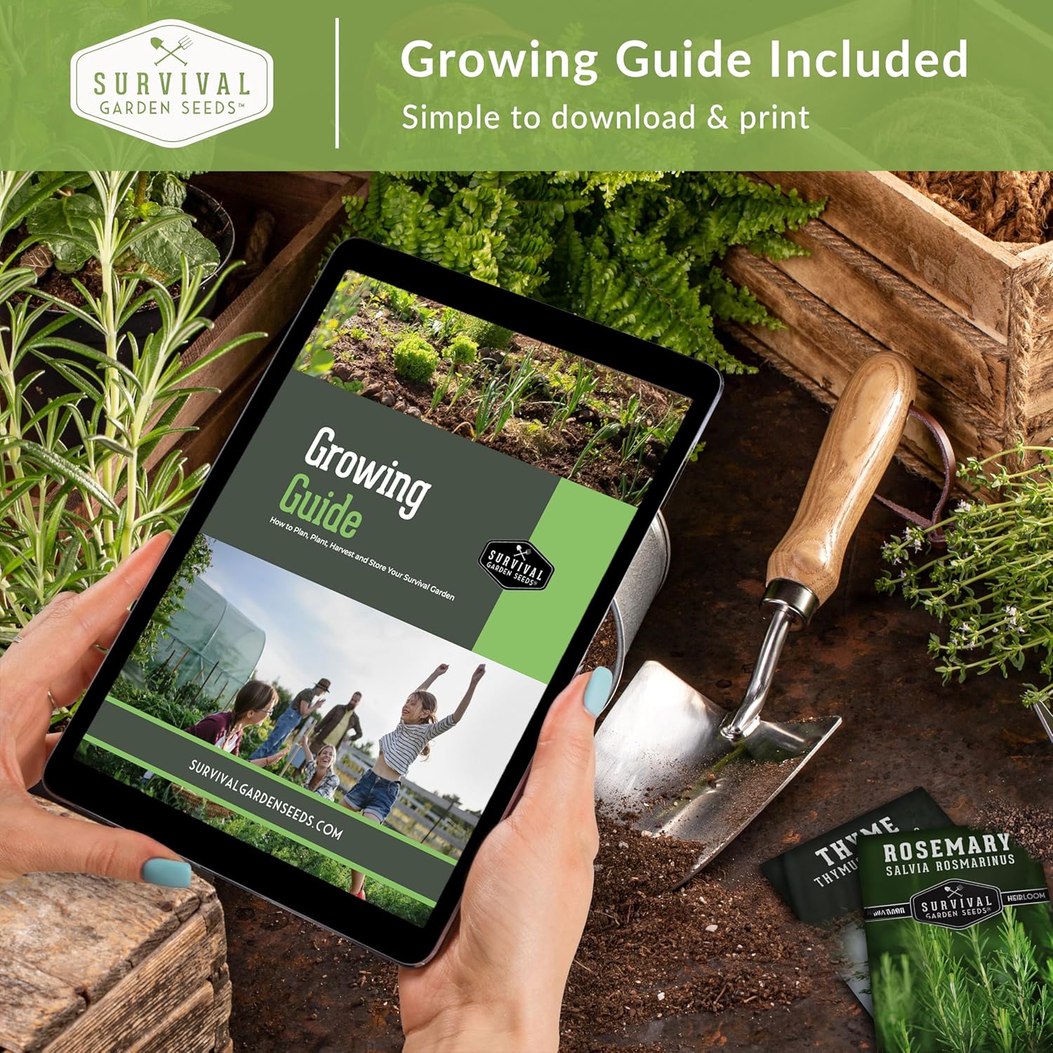 Parsley Seed Collection – 3 Varieties: Italian Giant, Curly, Flat Leaf Parsley Seeds for Planting Indoors or Outdoors – Non-GMO Heirloom Open-Pollinated Herbs – Survival Garden Seeds