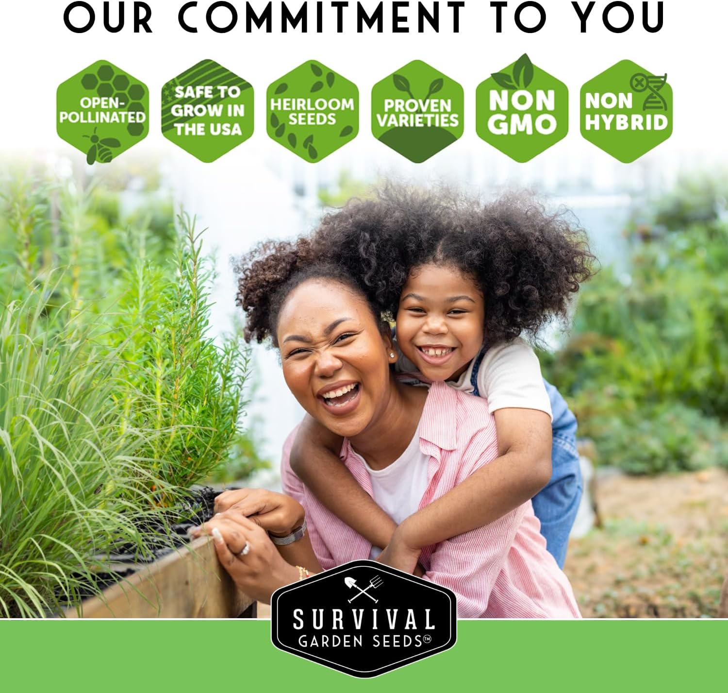 Parsley Seed Collection – 3 Varieties: Italian Giant, Curly, Flat Leaf Parsley Seeds for Planting Indoors or Outdoors – Non-GMO Heirloom Open-Pollinated Herbs – Survival Garden Seeds