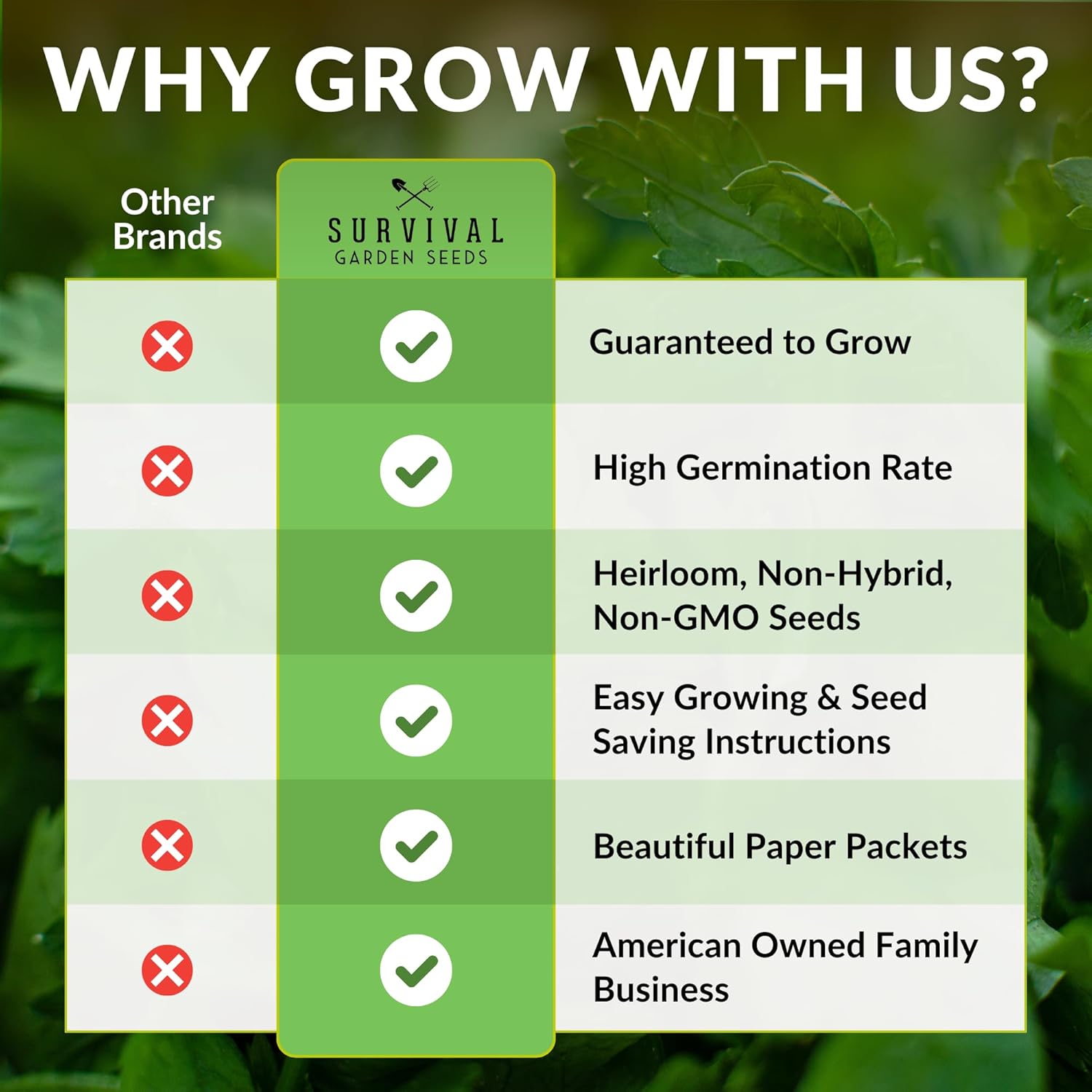 Parsley Seed Collection – 3 Varieties: Italian Giant, Curly, Flat Leaf Parsley Seeds for Planting Indoors or Outdoors – Non-GMO Heirloom Open-Pollinated Herbs – Survival Garden Seeds