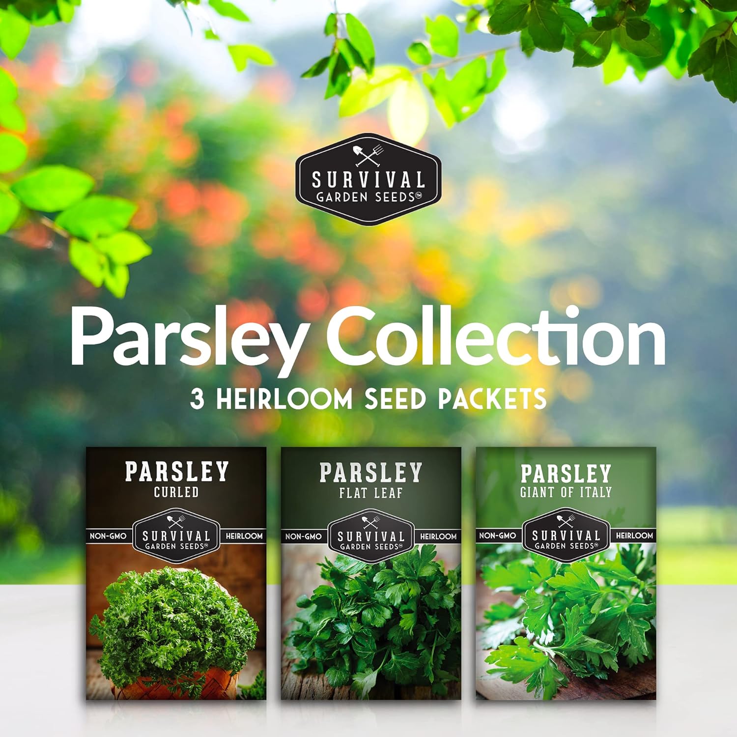 Parsley Seed Collection – 3 Varieties: Italian Giant, Curly, Flat Leaf Parsley Seeds for Planting Indoors or Outdoors – Non-GMO Heirloom Open-Pollinated Herbs – Survival Garden Seeds