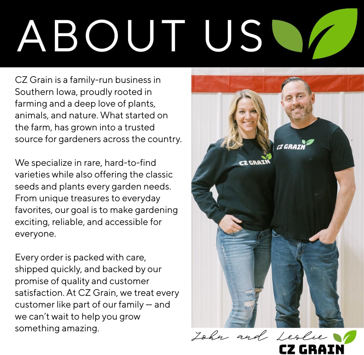 Yellow Dutch Master Daffodil Bulbs for Planting - Fresh Blooming Flowers, Easy to Grow Perennials (10 Bulbs)