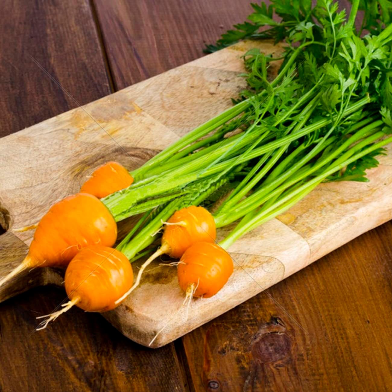 1000+ Seeds Round Baby Parisian Carrots Seeds A Delicacy Prised by Gourmet Restaurants Delicious Carrot Vegetable