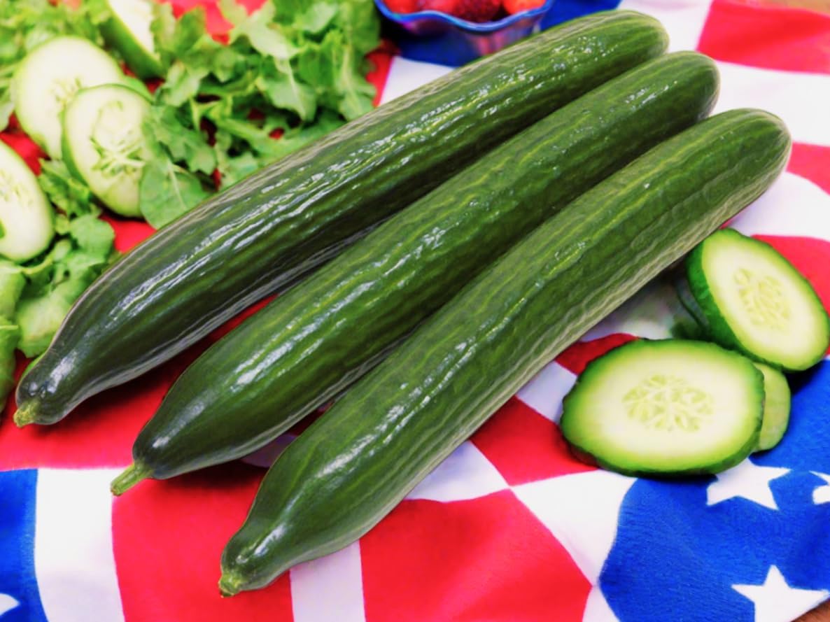 TomorrowSeeds - English Telegraph Burpless Cucumber (English Cucumber) Seeds - 30+ Count - for 2025 Planting Hothouse Cucumbers Crisp European Near-Seedless Long Heirloom Vegetable Grow Your Own Home