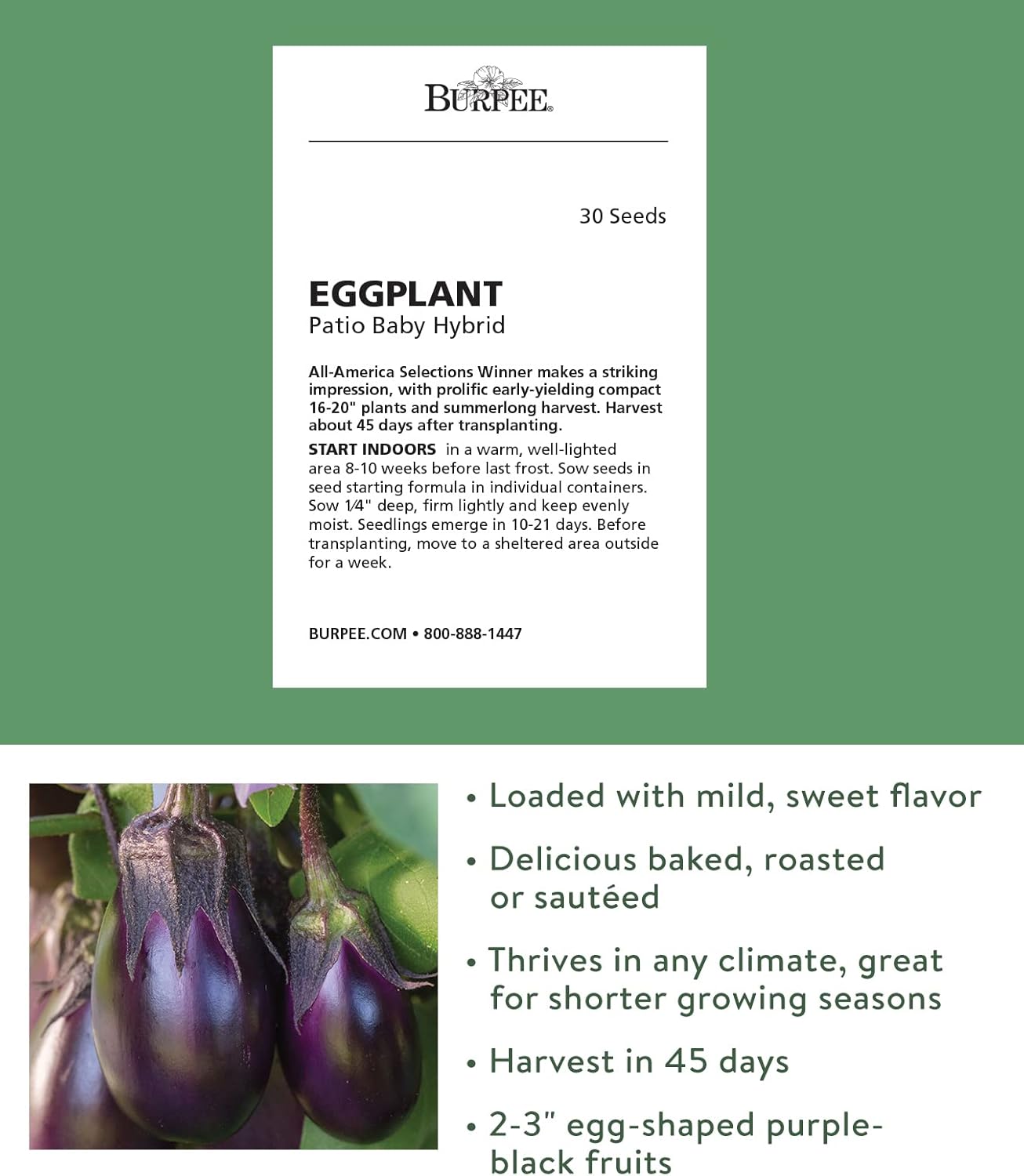 Burpee Patio Baby Eggplant Seeds 30 seeds