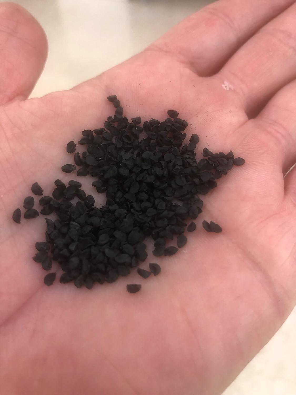 Park Seed Organic Parade Scallion Seeds – High-Yield Green Onions, Crisp 12–16 Inch Stems, Bulb-Resistant, Fast-Growing for Spring, Summer, or Fall Gardens, Easy to Grow – Pack of 1000 Seeds