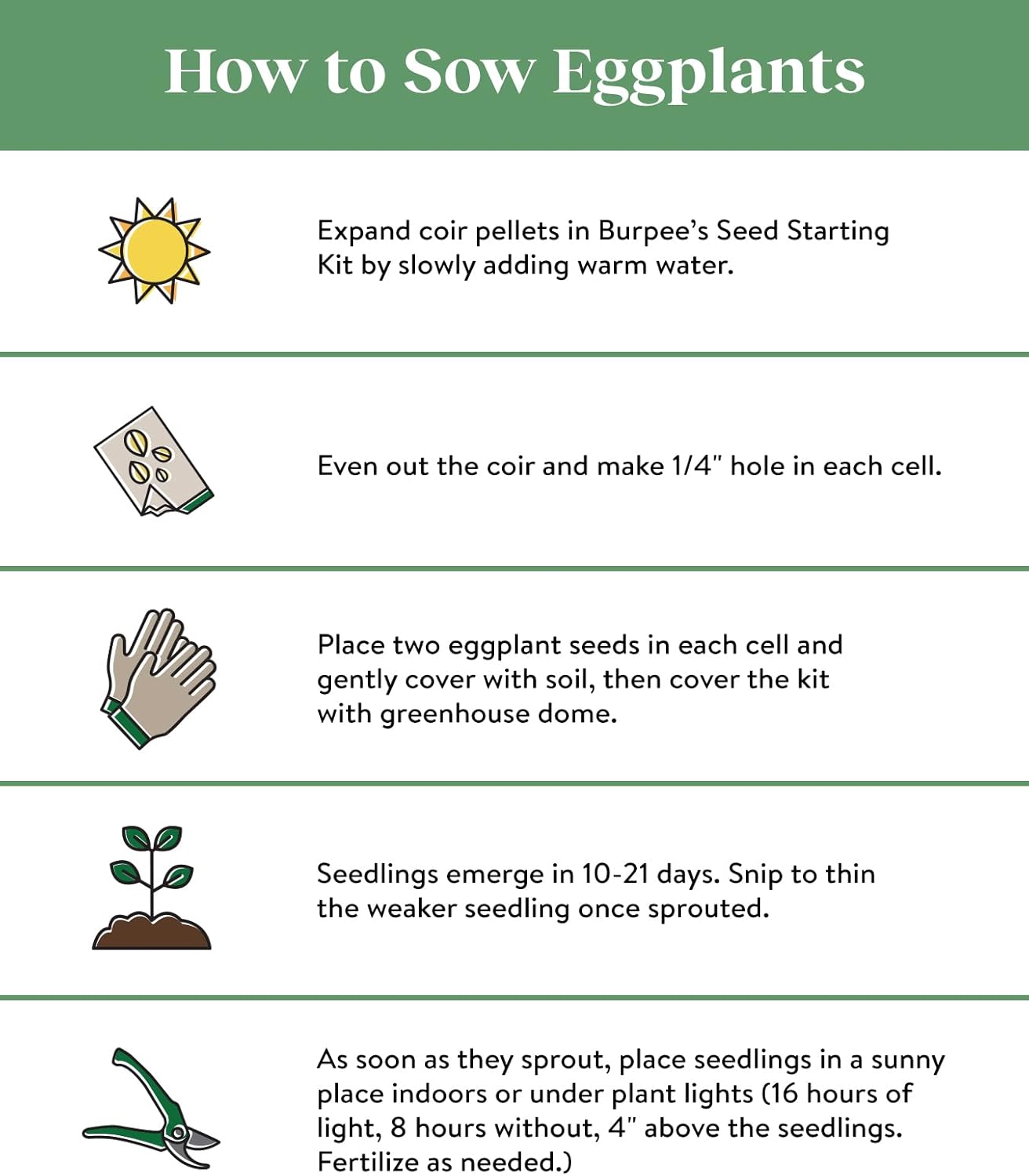 Burpee Patio Baby Eggplant Seeds 30 seeds