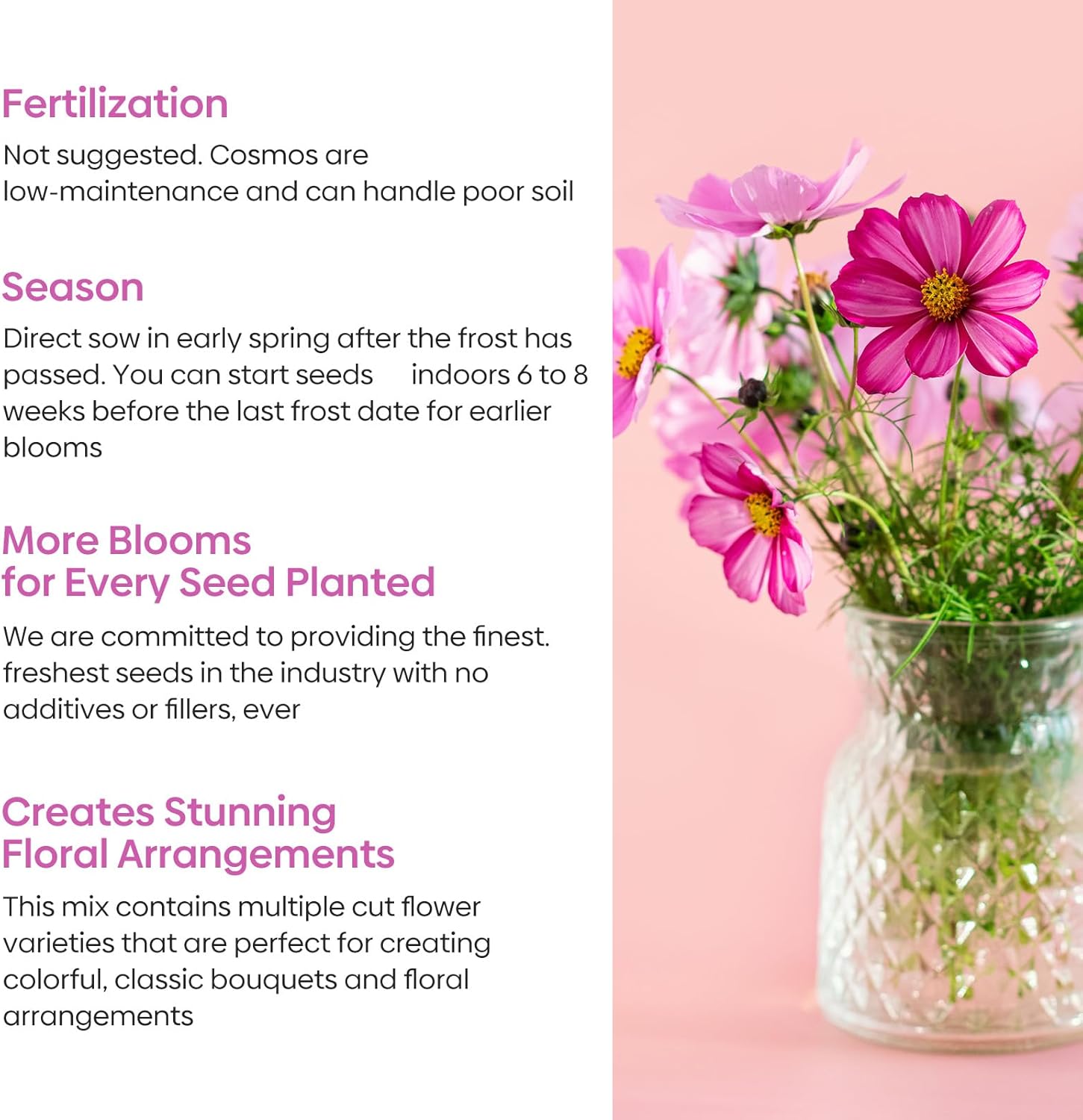 Cosmos Seeds Wildflower Mix 1 Oz, Over 3,000+, 4 Varieties Flowers Seeds for Planting (Radiance, Purity, Pinkie, Picotee), Open Pollinated Bulk