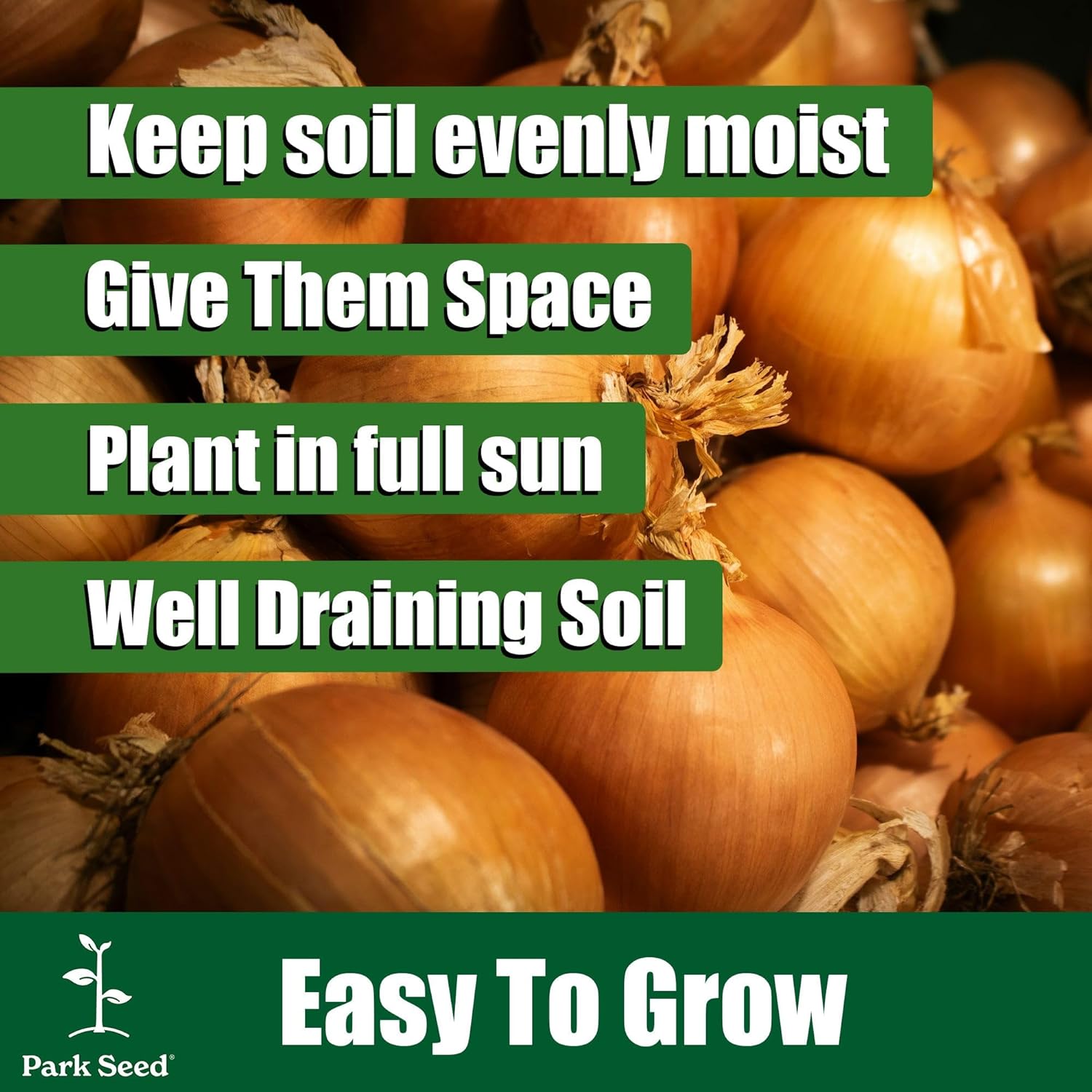 Park Seed Organic Parade Scallion Seeds – High-Yield Green Onions, Crisp 12–16 Inch Stems, Bulb-Resistant, Fast-Growing for Spring, Summer, or Fall Gardens, Easy to Grow – Pack of 1000 Seeds