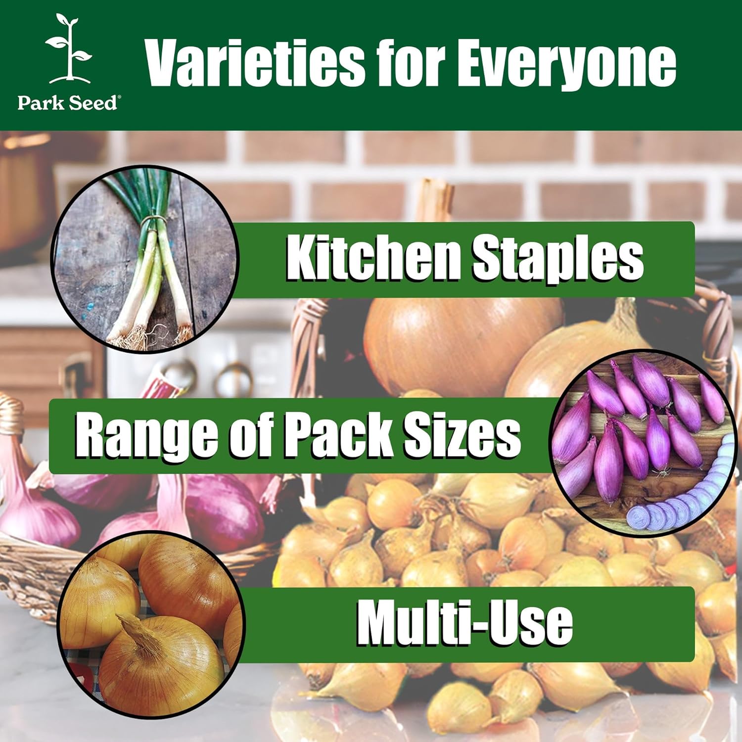 Park Seed Organic Parade Scallion Seeds – High-Yield Green Onions, Crisp 12–16 Inch Stems, Bulb-Resistant, Fast-Growing for Spring, Summer, or Fall Gardens, Easy to Grow – Pack of 1000 Seeds