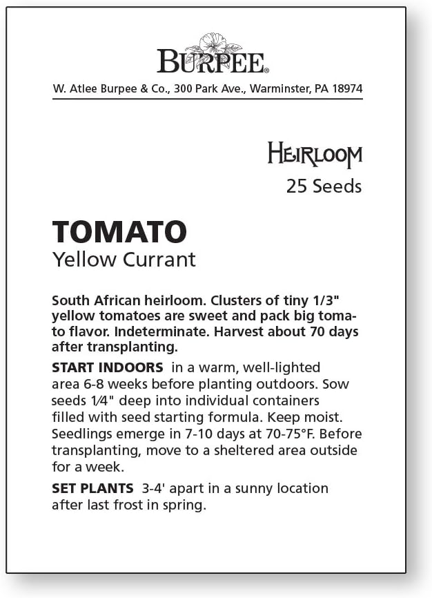 Burpee 'Super Sweet 100' Hybrid, Cherry Tomato, 50 Non-GMO Seeds