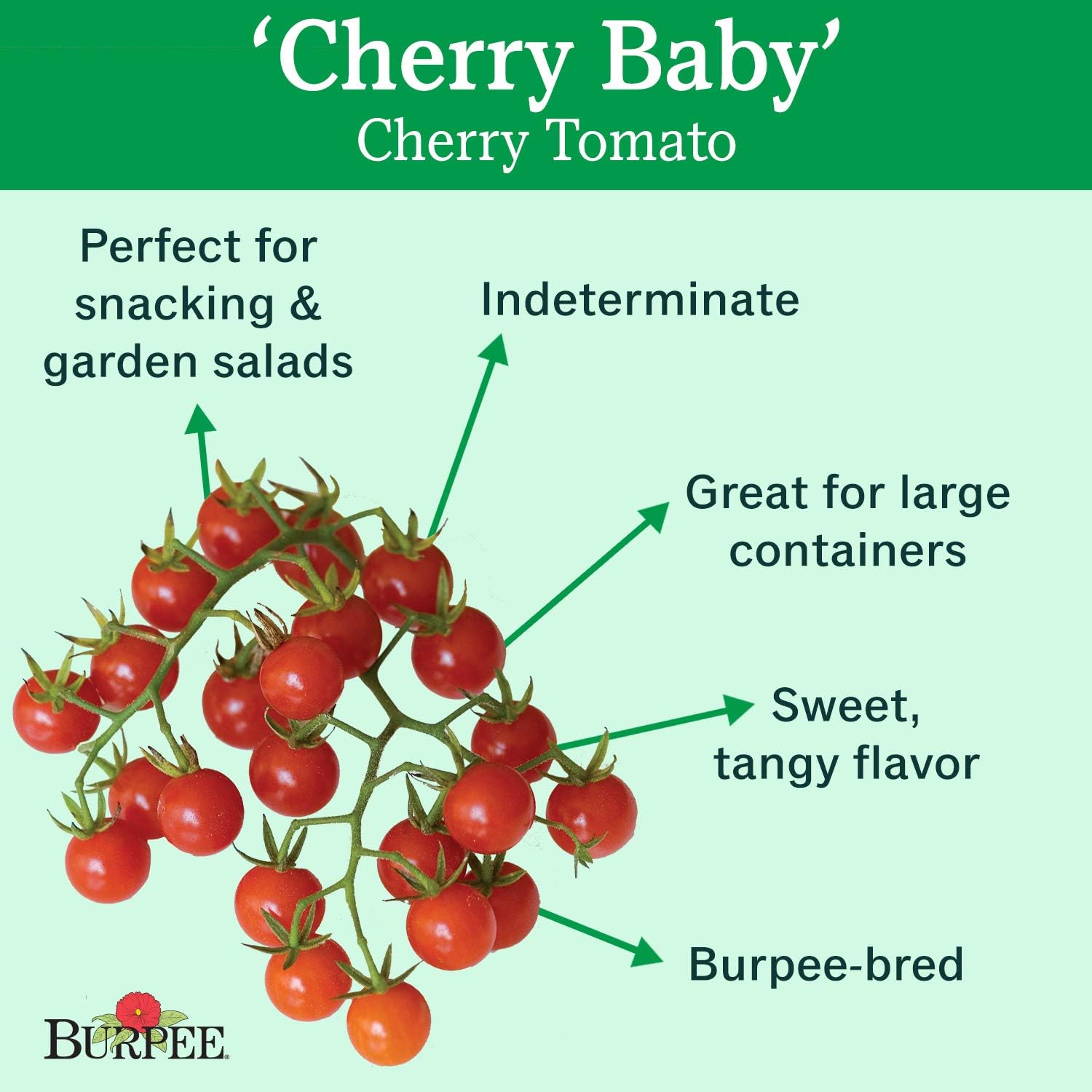 Burpee 'Super Sweet 100' Hybrid, Cherry Tomato, 50 Non-GMO Seeds