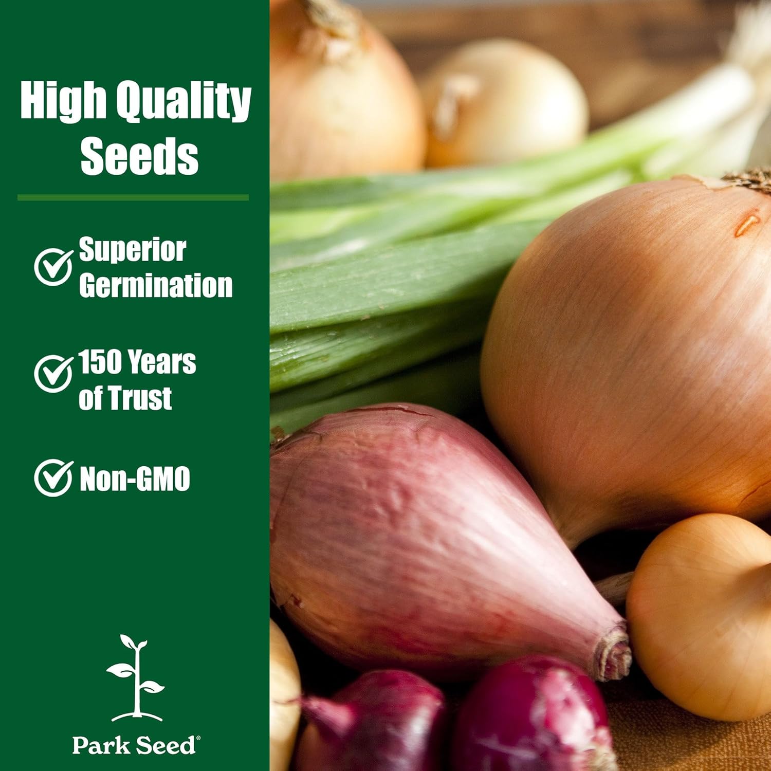 Park Seed Organic Parade Scallion Seeds – High-Yield Green Onions, Crisp 12–16 Inch Stems, Bulb-Resistant, Fast-Growing for Spring, Summer, or Fall Gardens, Easy to Grow – Pack of 1000 Seeds