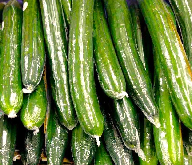 TomorrowSeeds - English Telegraph Burpless Cucumber (English Cucumber) Seeds - 30+ Count - for 2025 Planting Hothouse Cucumbers Crisp European Near-Seedless Long Heirloom Vegetable Grow Your Own Home