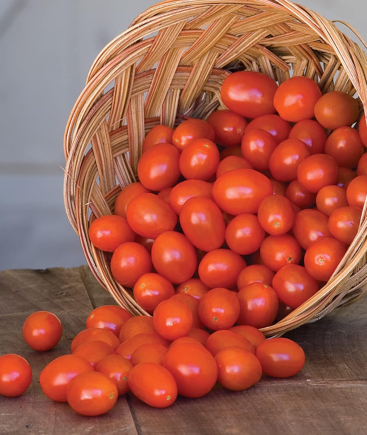 Burpee 'Super Sweet 100' Hybrid, Cherry Tomato, 50 Non-GMO Seeds