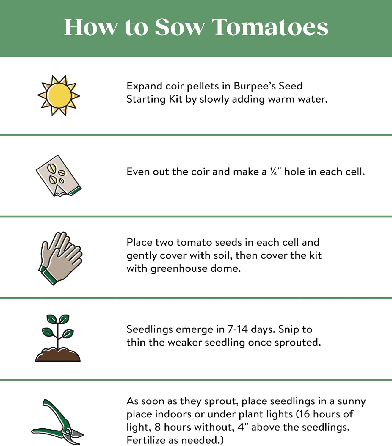 Burpee 'Super Sweet 100' Hybrid, Cherry Tomato, 50 Non-GMO Seeds