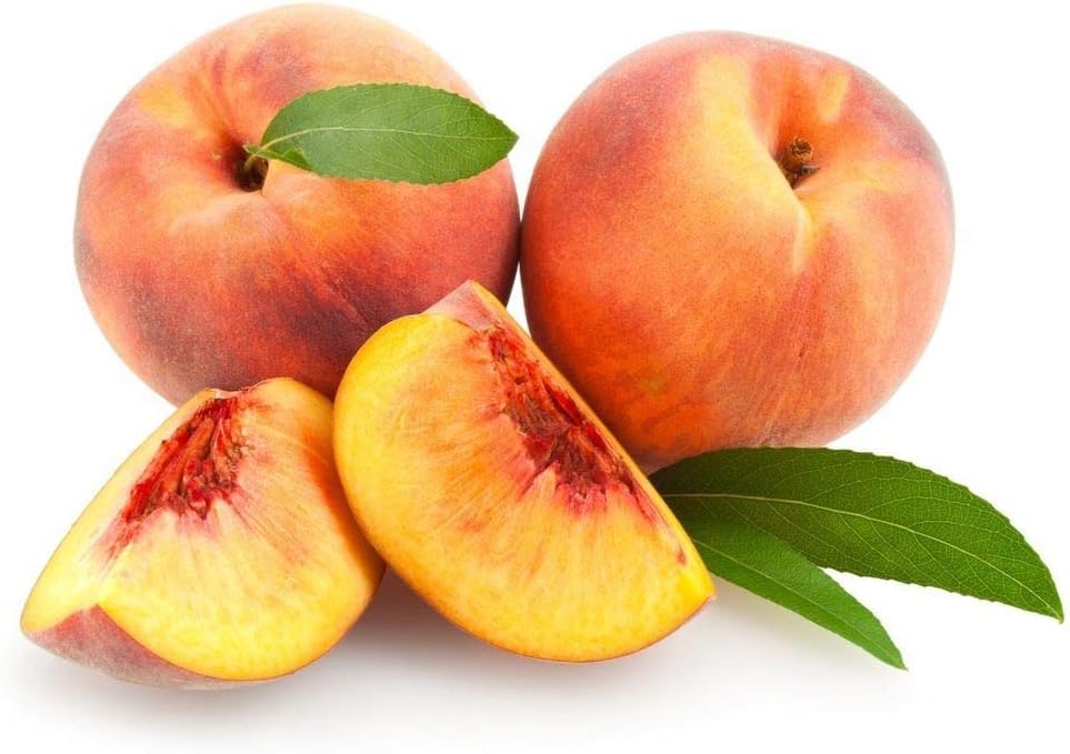 Nemaguard Peach Fruit Tree Seeds, 3 Seeds Per Packet, (Isla's Garden Seeds), Non GMO & Heirloom Seeds, Botanical Name: Prunus persica x P. davidiana