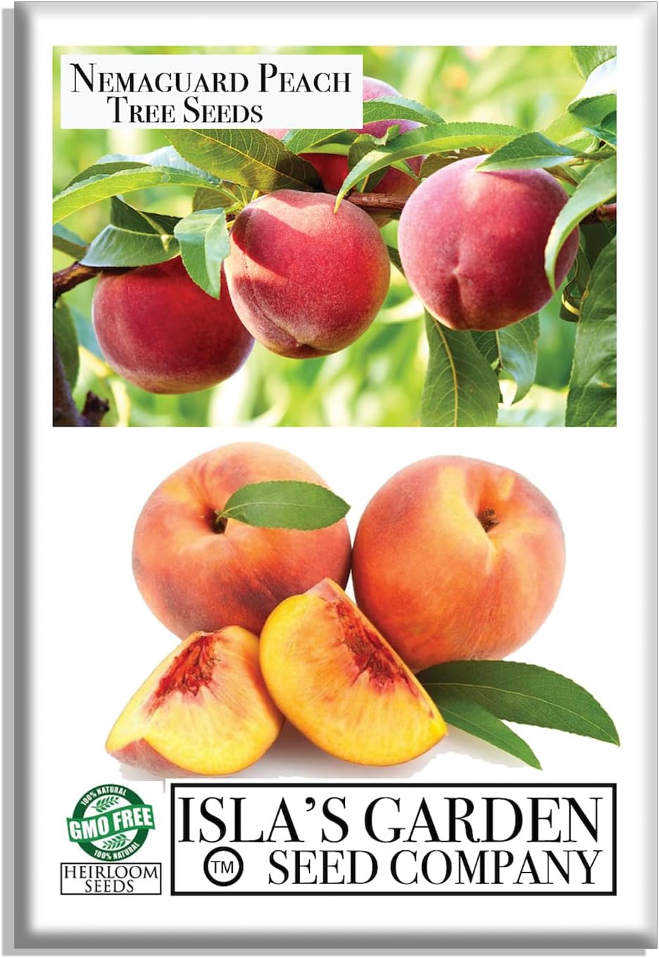 Nemaguard Peach Fruit Tree Seeds, 3 Seeds Per Packet, (Isla's Garden Seeds), Non GMO & Heirloom Seeds, Botanical Name: Prunus persica x P. davidiana