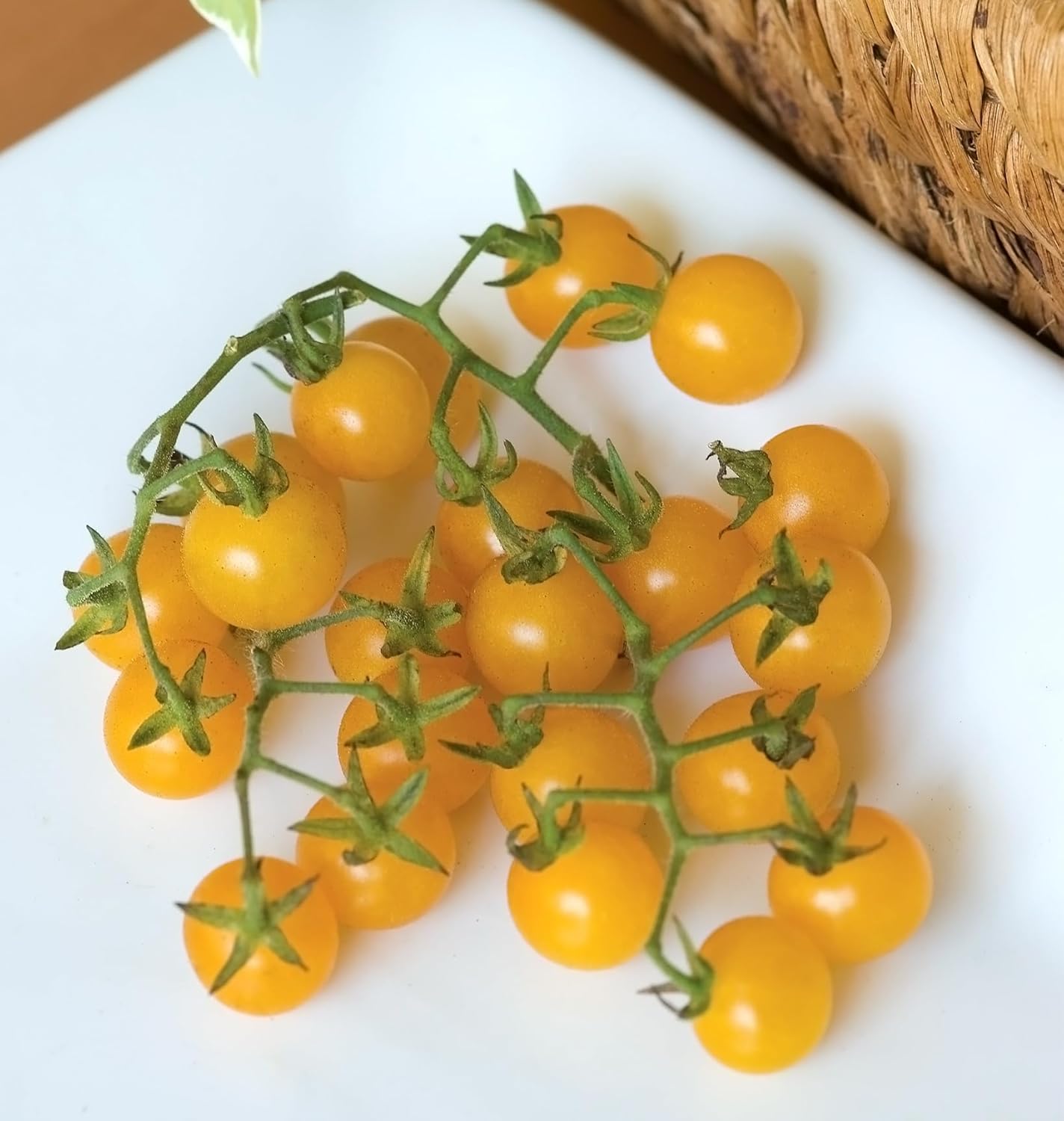 Burpee 'Super Sweet 100' Hybrid, Cherry Tomato, 50 Non-GMO Seeds