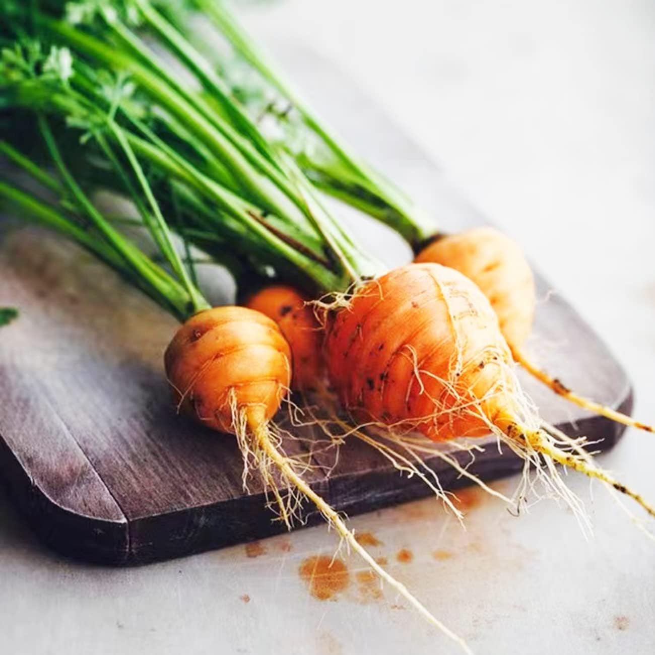 1000+ Seeds Round Baby Parisian Carrots Seeds A Delicacy Prised by Gourmet Restaurants Delicious Carrot Vegetable