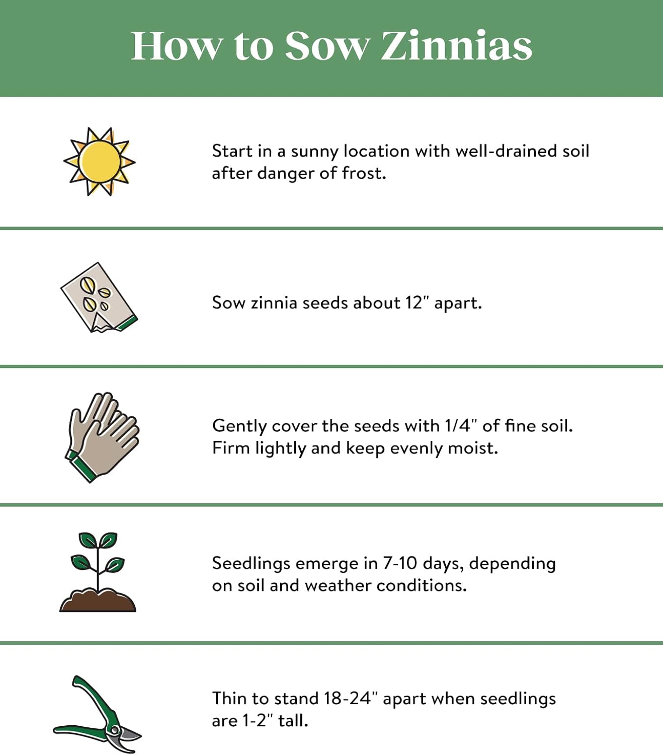 Burpee Cut & Come Again Zinnia Seeds 175 seeds