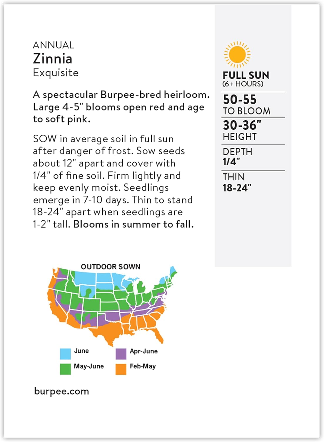 Burpee Cut & Come Again Zinnia Seeds 175 seeds