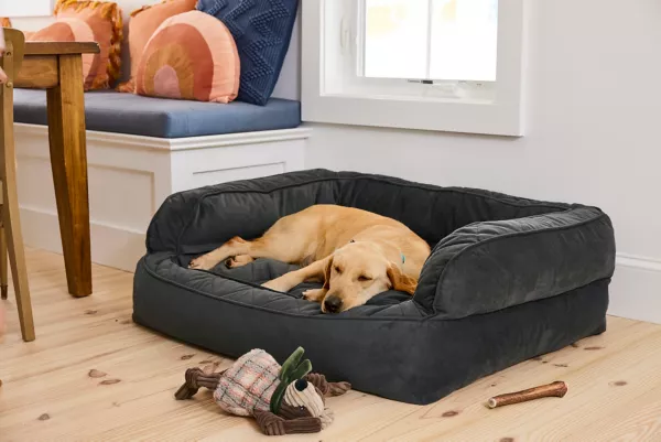 Orvis ComfortFill-Eco™ Couch Dog Bed
