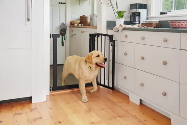 Easy-Mount DoorFrame Gate - Doorway