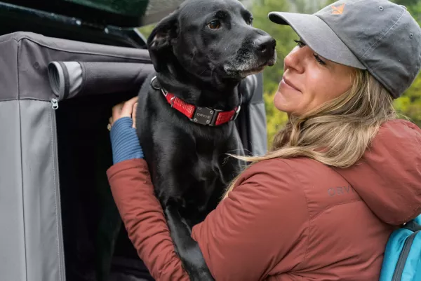 Tough Trail® Dog Collar